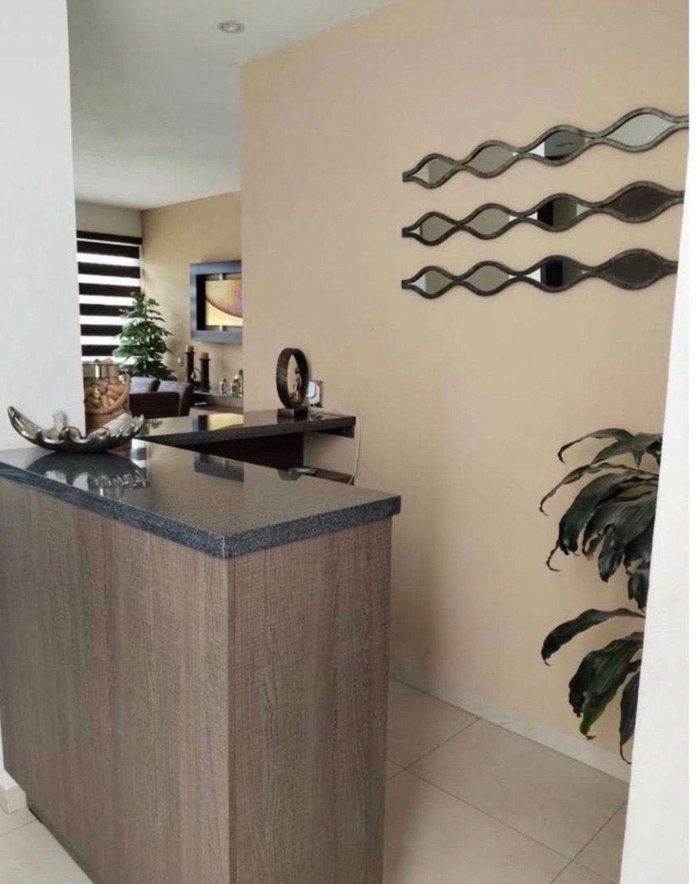 Venta de casa en Vitalia San Mateo Atenco, foto 3